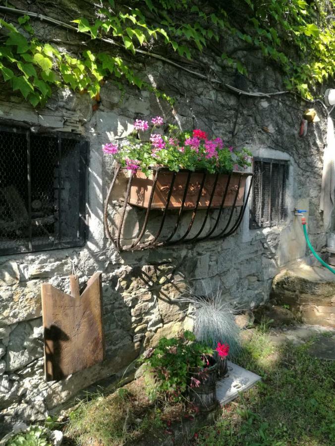 Affittacamere Prà de Mandè Viano Esterno foto